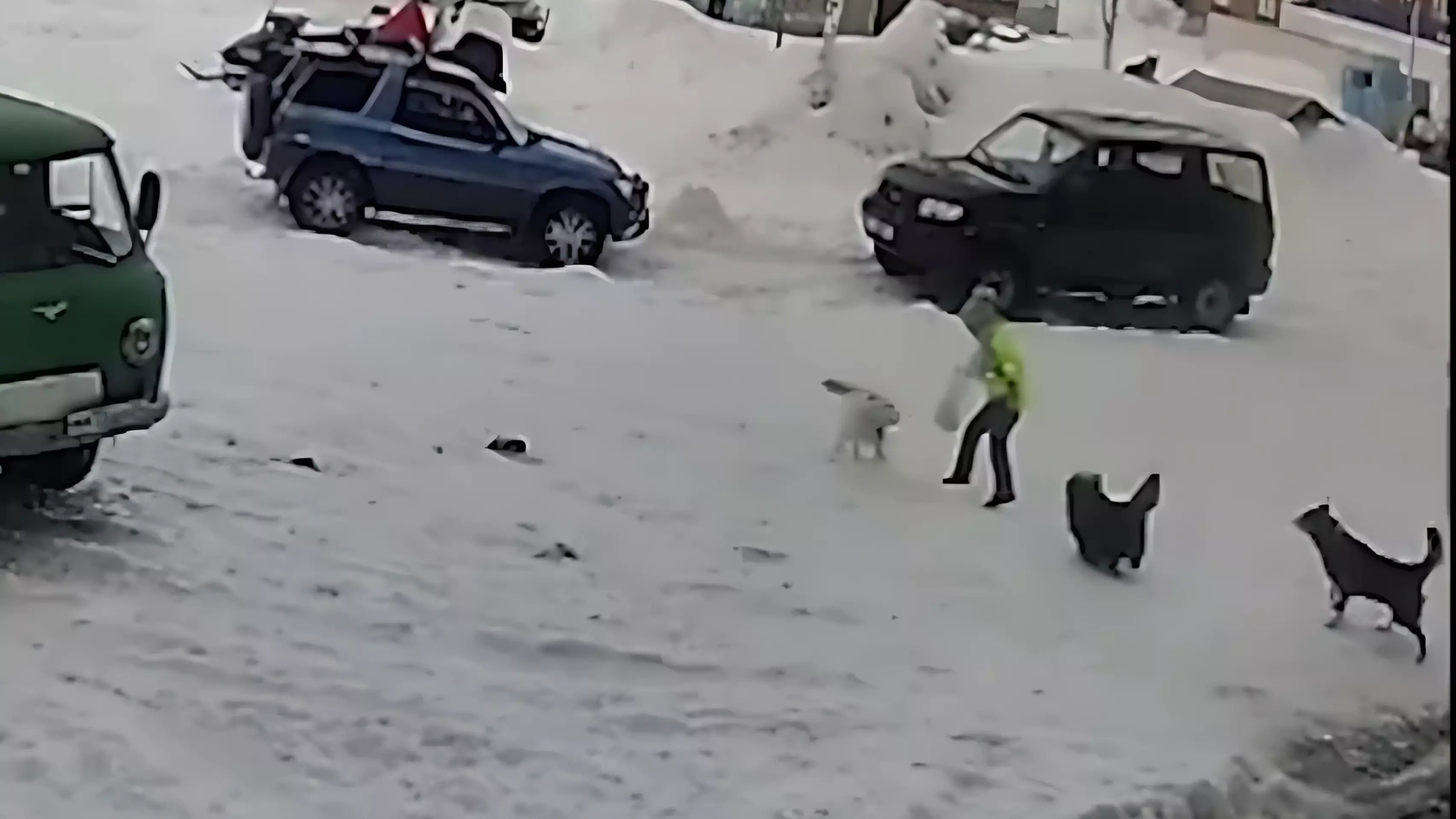 В Красноярском крае собаки грызли девочку на улице