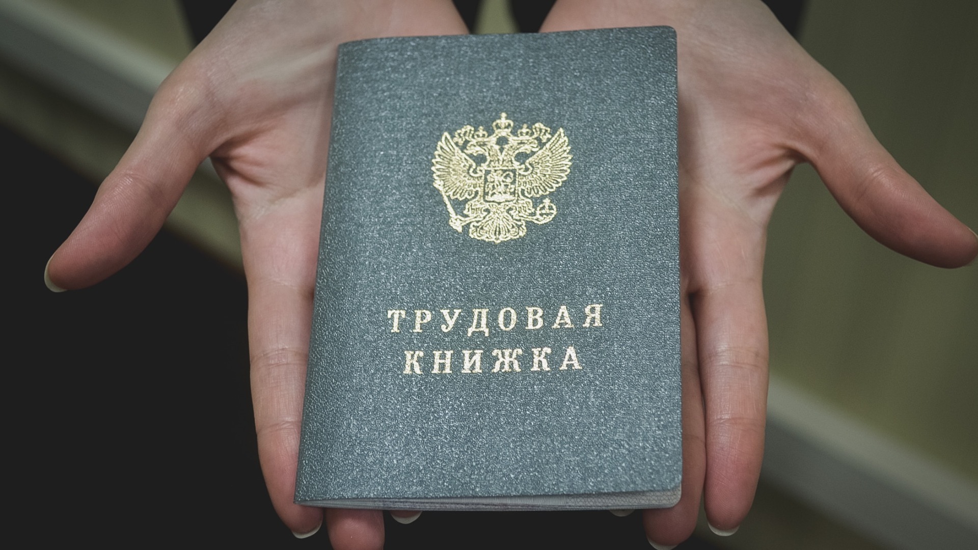 В Красноярском крае рекордно выросло число вакансий