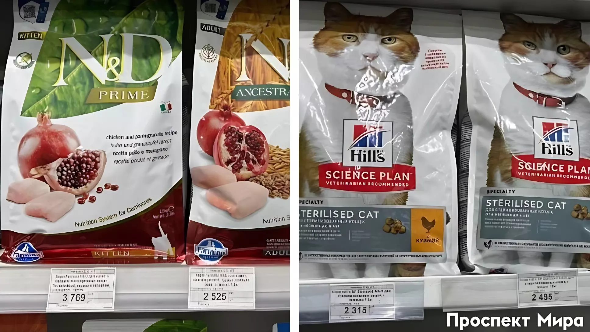 Красноярцы жалуются на запрет импортных кормов для питомцев