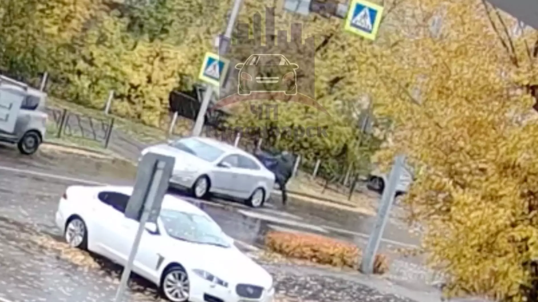 В Красноярске водитель не пропустил пешехода, и они подрались посреди дороги