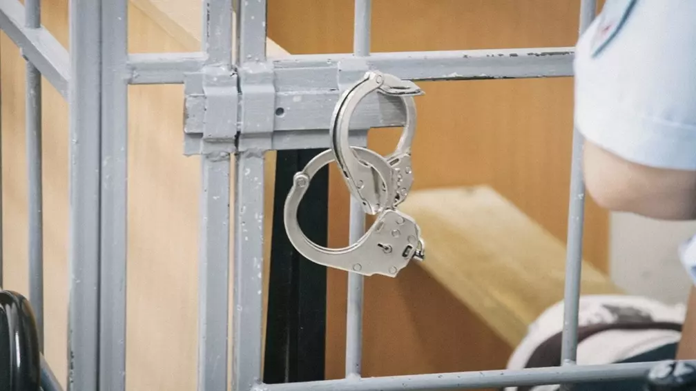 Красноярец получил 2 года строгого режима за выброшенную из окна больную собаку