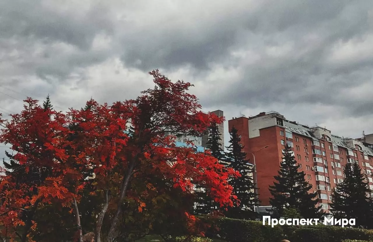Немного мрачная, но атмосферная осень в Красноярске