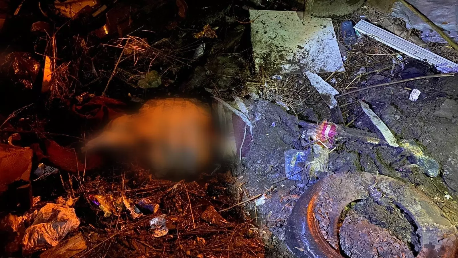 Красноярские школьники нашли на мусорке замотанное скотчем тело женщины