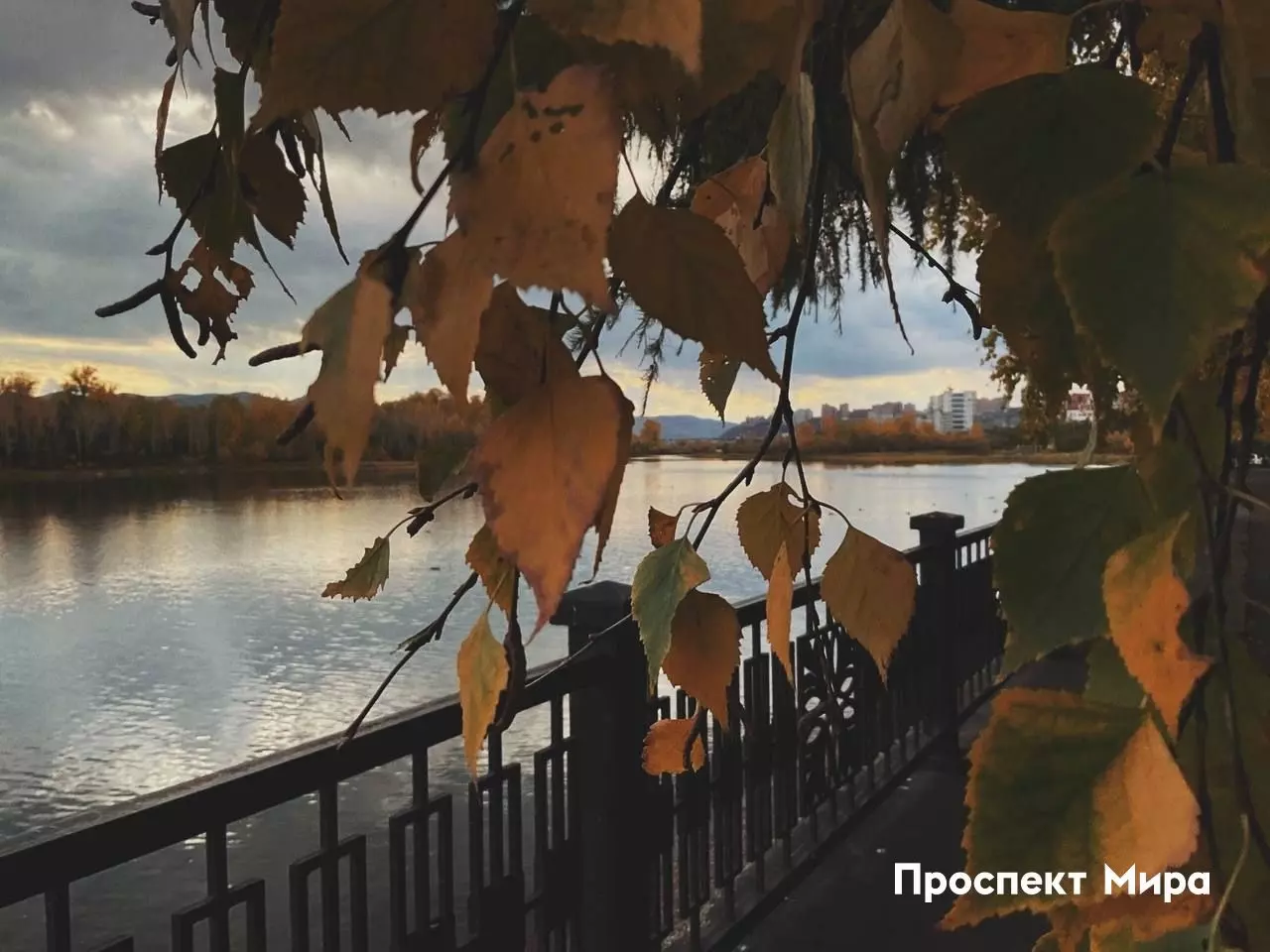 Уютная и солнечная осень на набережной в Красноярске