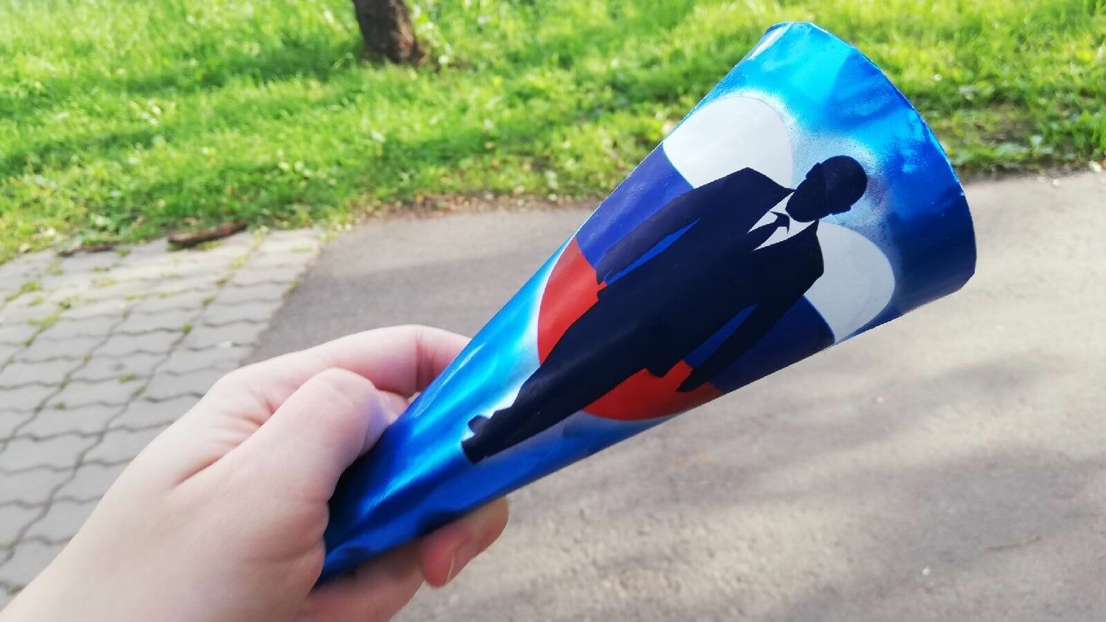 В Красноярске «Славица» начала продавать мороженое «Большой брат» с Путиным на упаковке