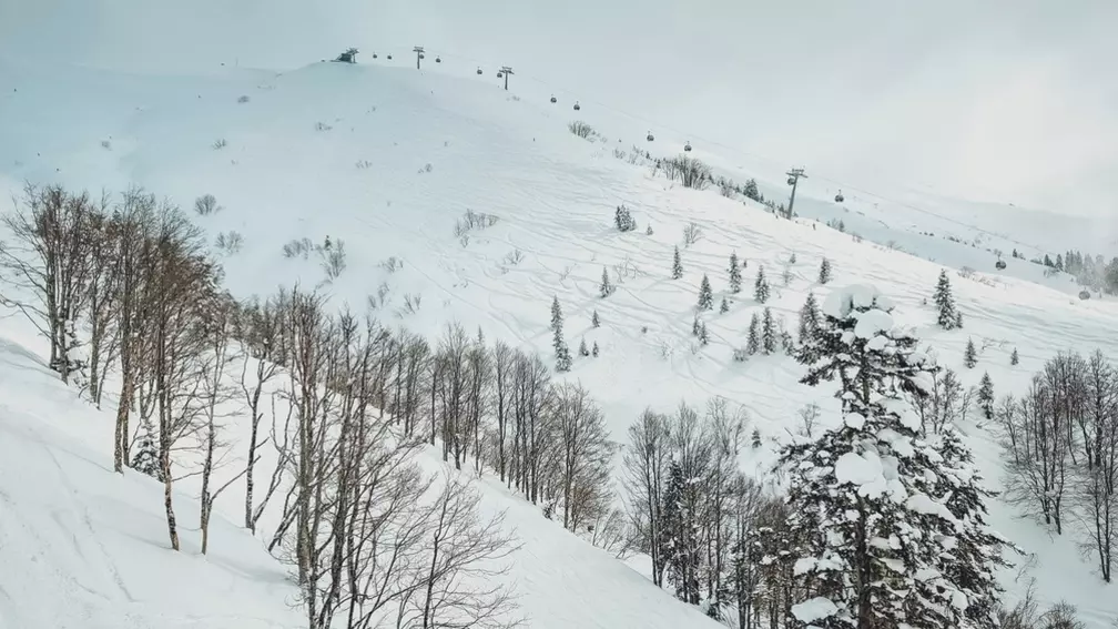 Красноярцам рассказали, где можно покататься на горных лыжах и сноубродах