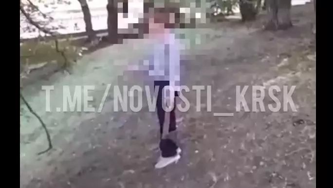 В Красноярске третьеклассник пришел к школе с топором и «угрожал» другим детям