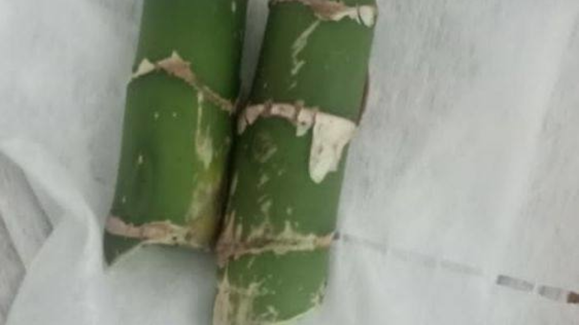 В Красноярском крае дети приняли за бамбук обрезки ядовитого растения и съели их