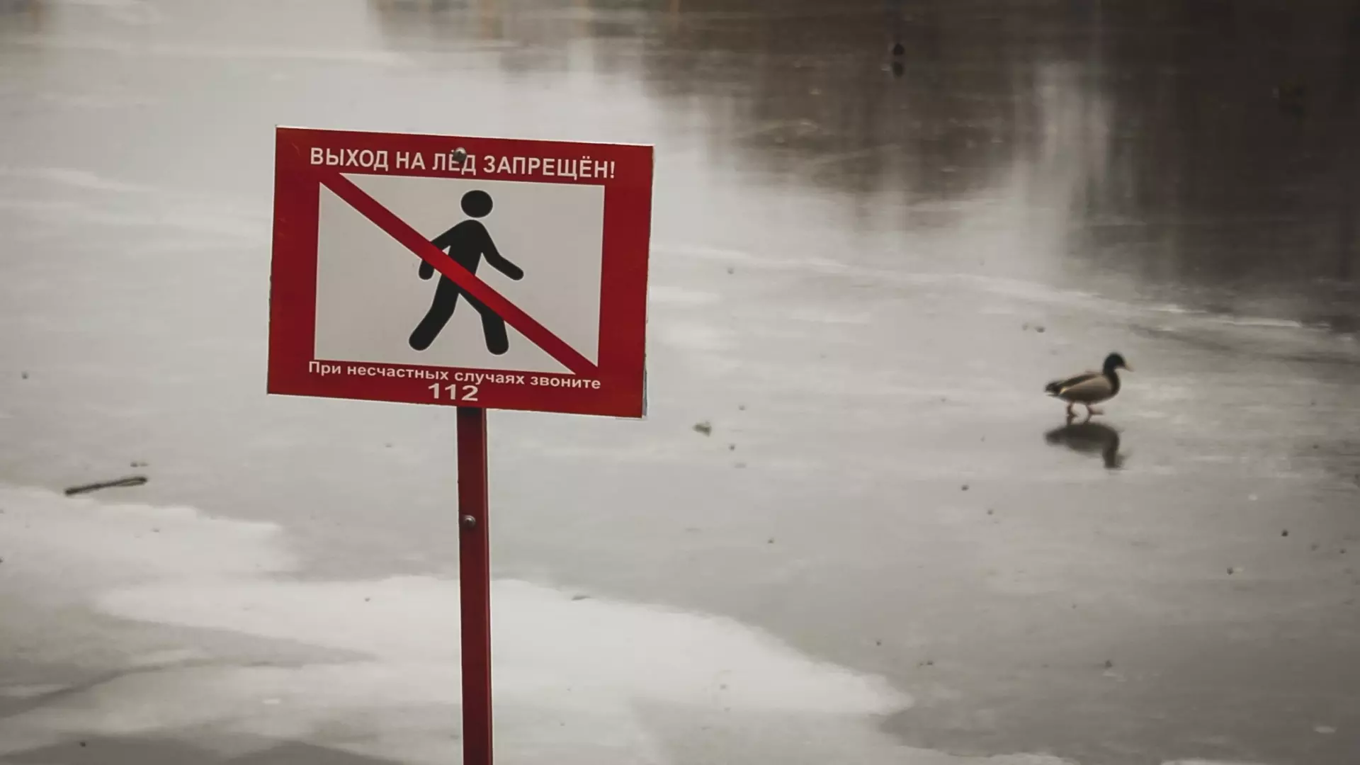 Трое жителей Красноярского края провалились под лед и утонули