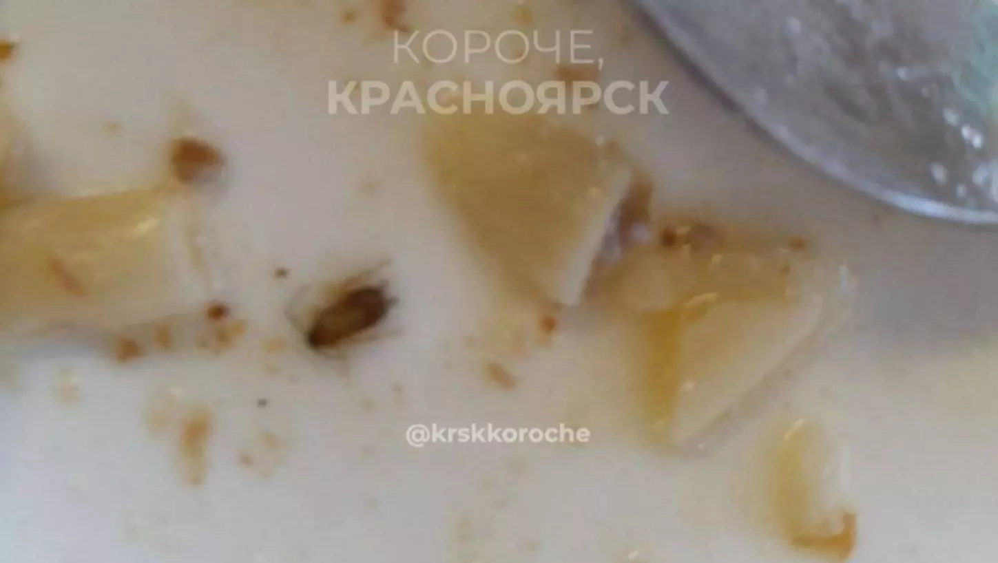 В Красноярске школьник нашел двух тараканов в тарелке с макаронами