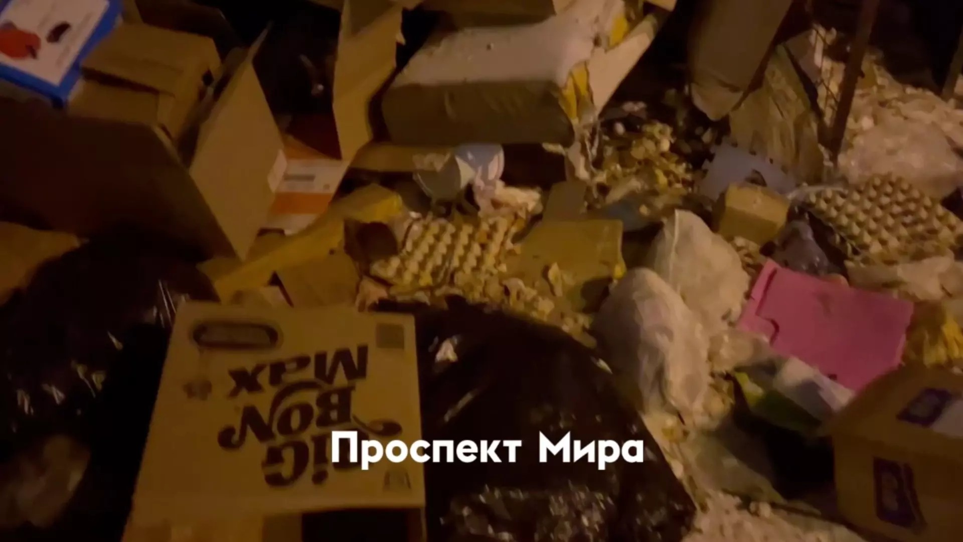 Жители центра Красноярска пожаловались на нашествие крыс