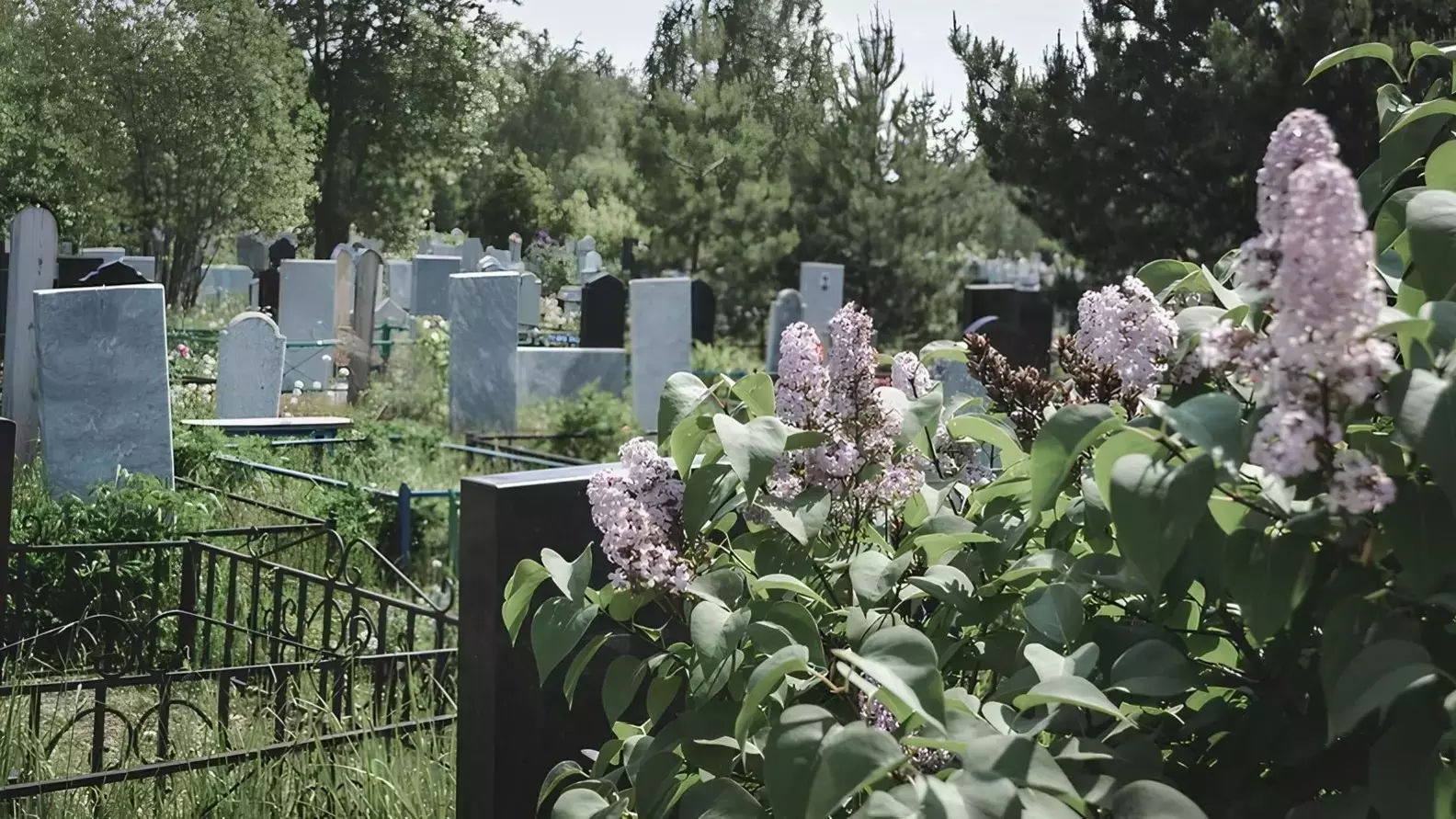 Крематорий в Красноярске могут построить к 2025 году