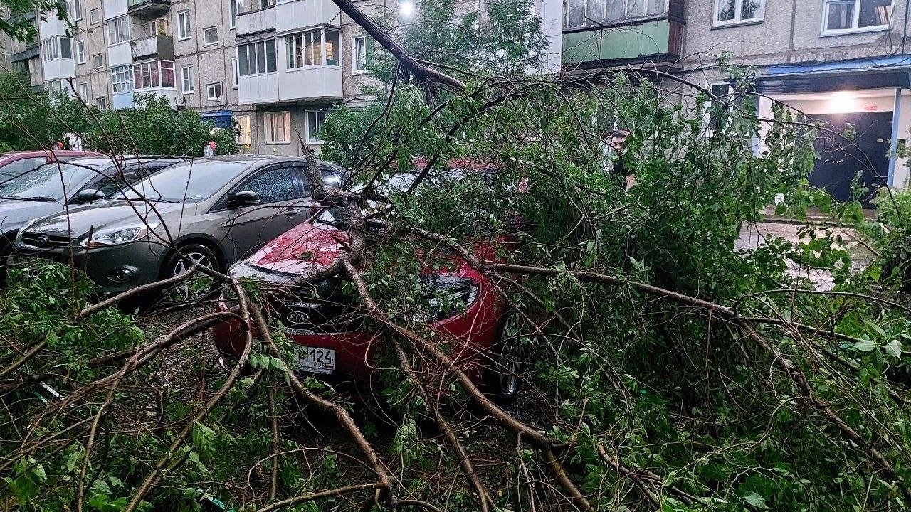 В Минусинске после ливня и ветра нашли почти десяток разбитых авто