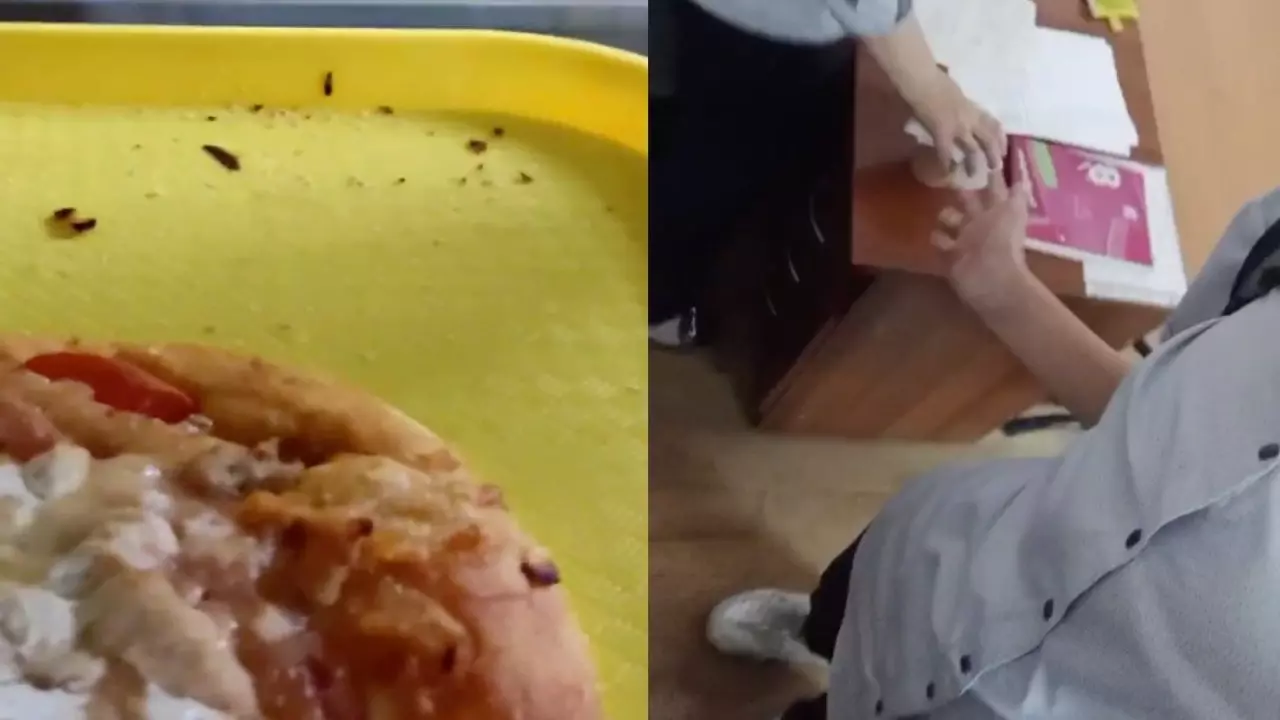 Роспотребнадзор позвал школьника к себе на работу после видео с тараканами в столовой