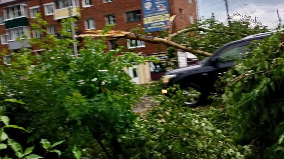 Буря в Заозерном поломала деревья и оборвала провода