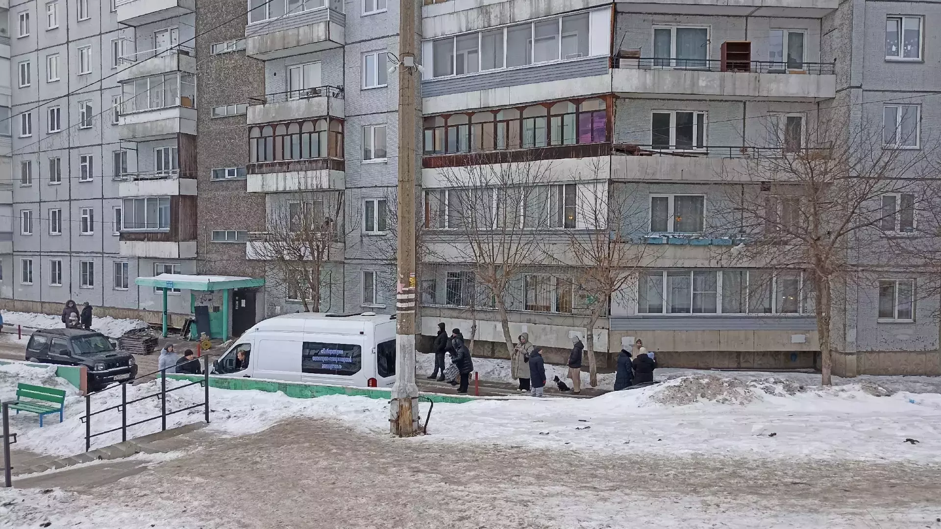 Губернатор края ввел карантин из-за бешенства в отдельной квартире в Красноярске