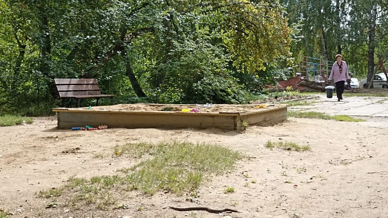 В красноярском Академгородке на детской площадке заметили змею