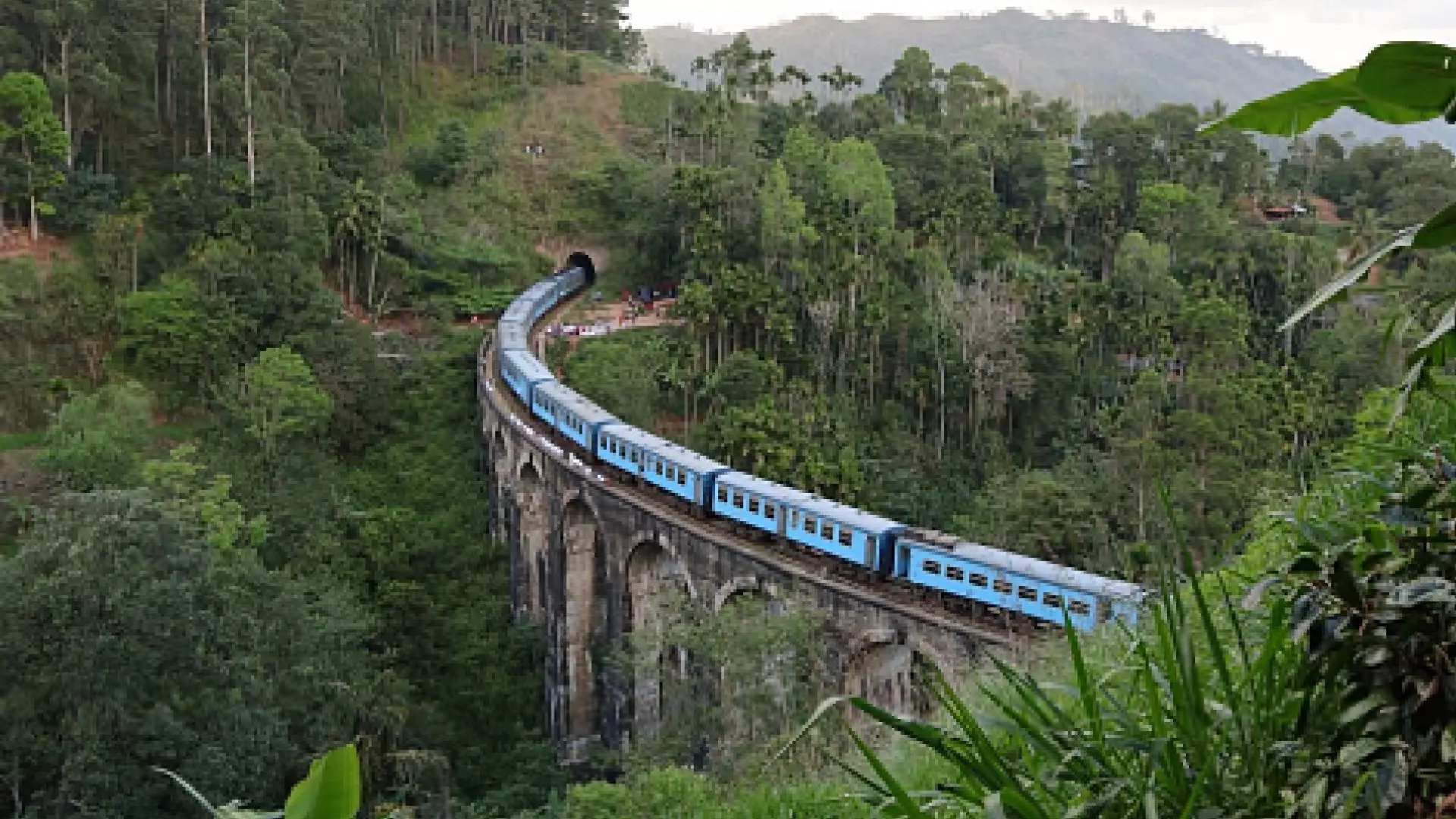 Красноярка пыталась сделать фото и выпала из движущегося поезда на Шри-Ланке