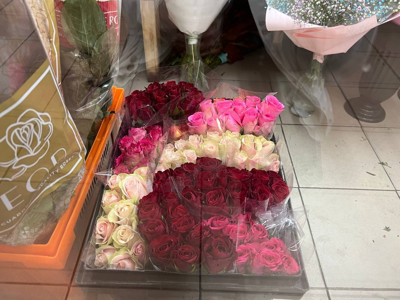 Кенийская роза продается поштучно за 100 рублей