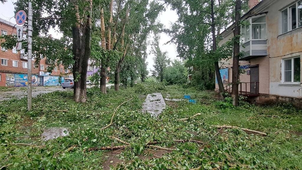 Поваленные деревья и сорванные крыши: публикуем последствия бури в Заозерном