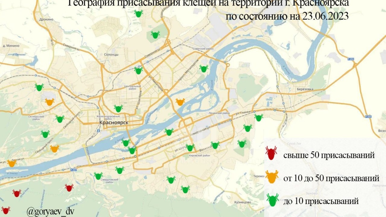 Публикуем карту активности клещей в Красноярске