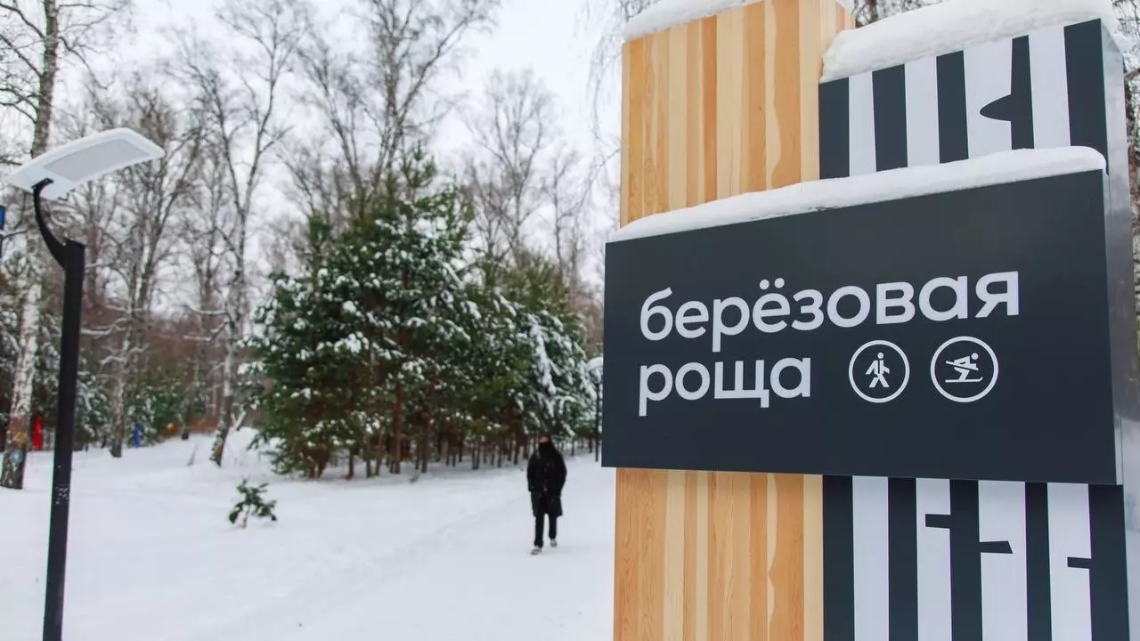 В Красноярске открыли новый экопарк «Березовая роща» для прогулок и спорта