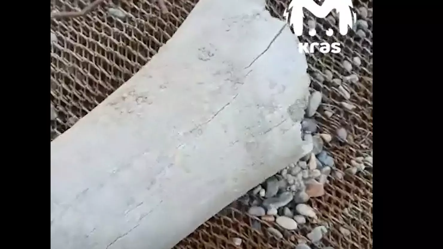 Рядом с «Путинским» мостом под Красноярском рабочие нашли огромную загадочную кость