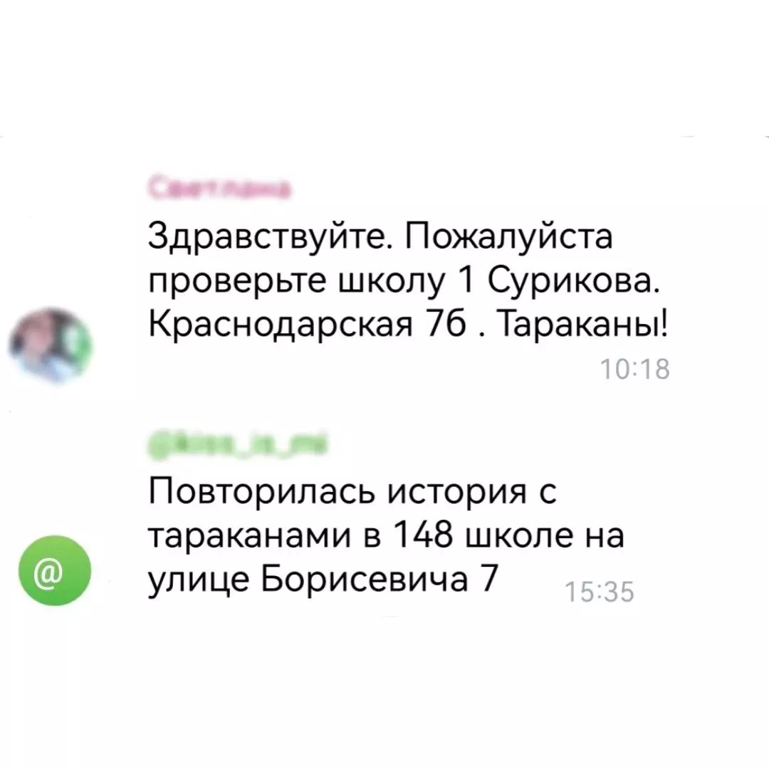 Родители активно жалуются на тараканов в школах Красноярска