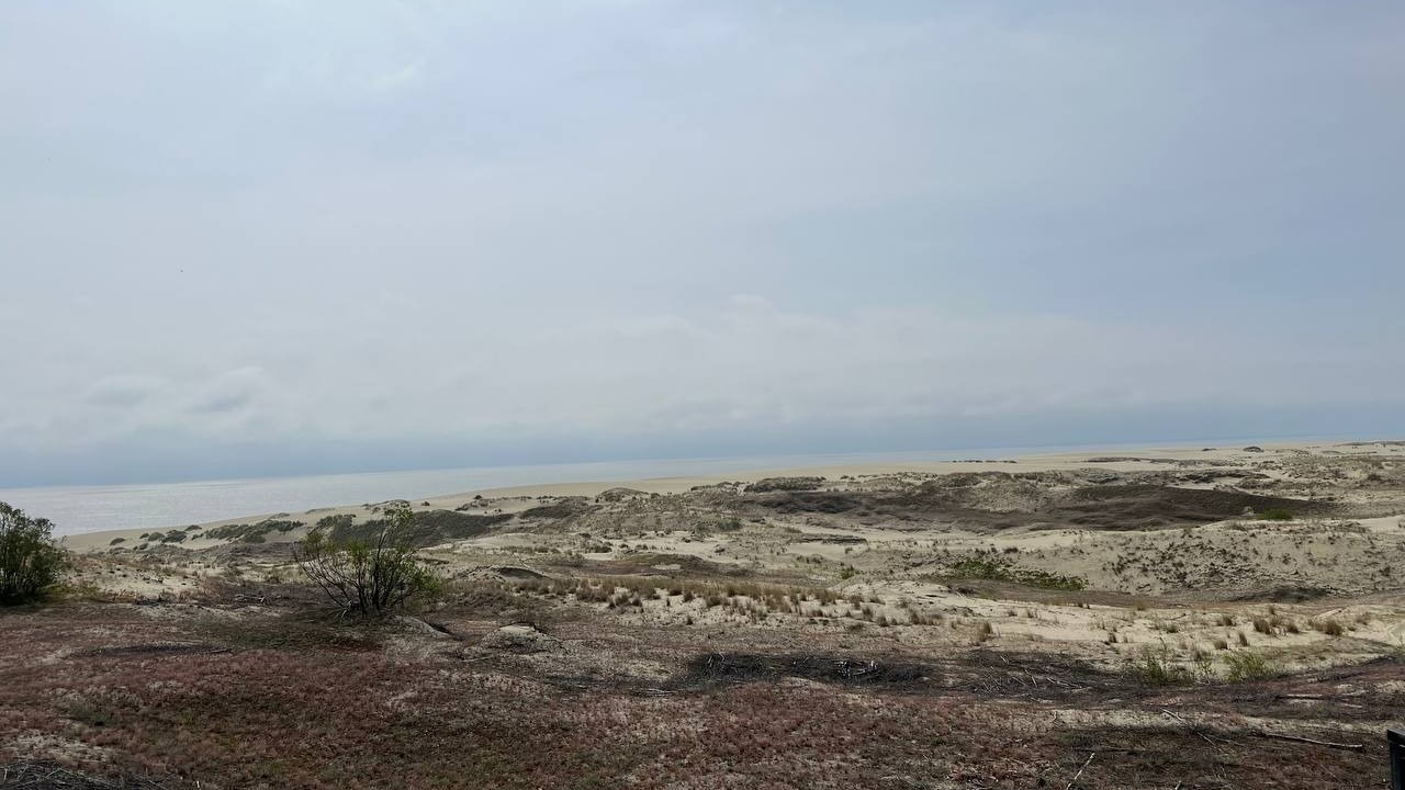 Вид на дюну со смотровой площадки