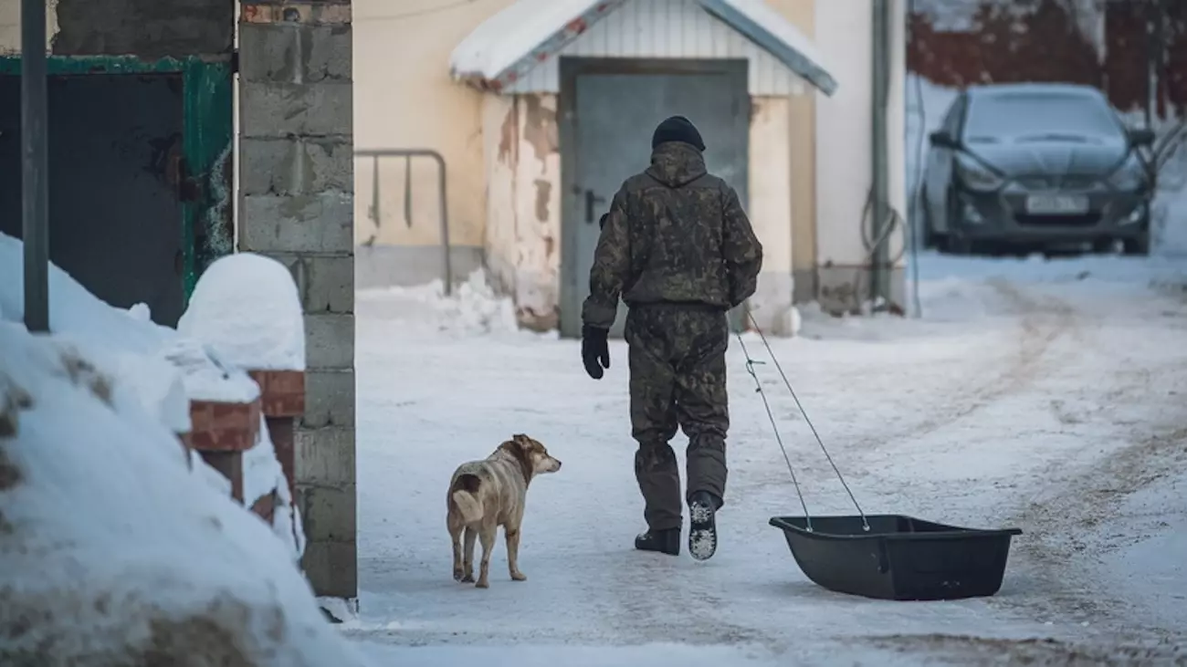 Красноярские зооволонтеры рассказали о спасении бездомных животных в минус 40