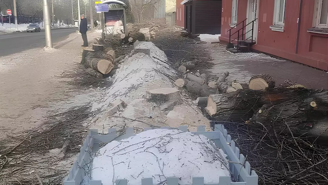 Мэрия Красноярска вырубила деревья во время режима НМУ