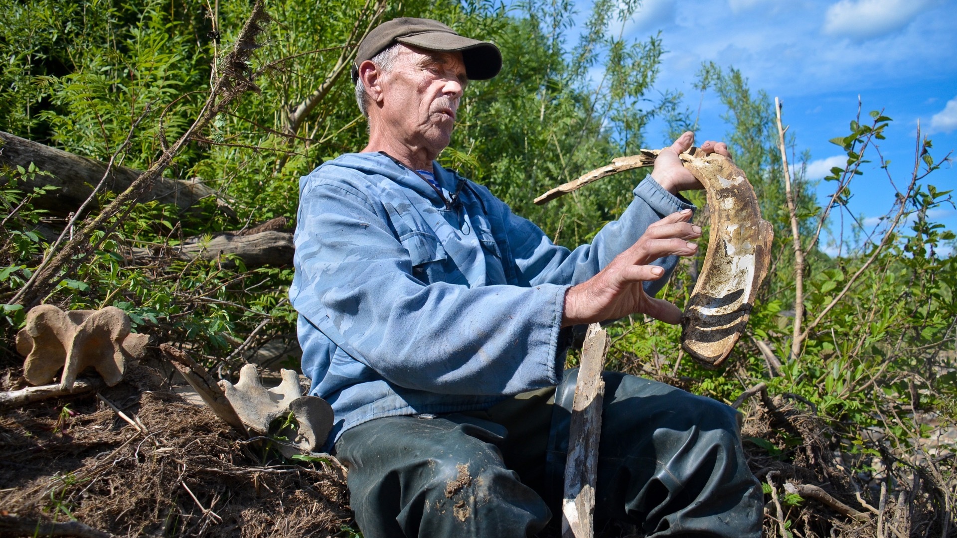 Охотник нашел кости мамонта на берегу реки в Красноярском крае