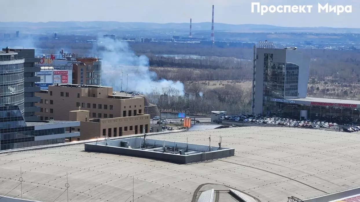 В Красноярске на острове Татышев специально устроили пожар