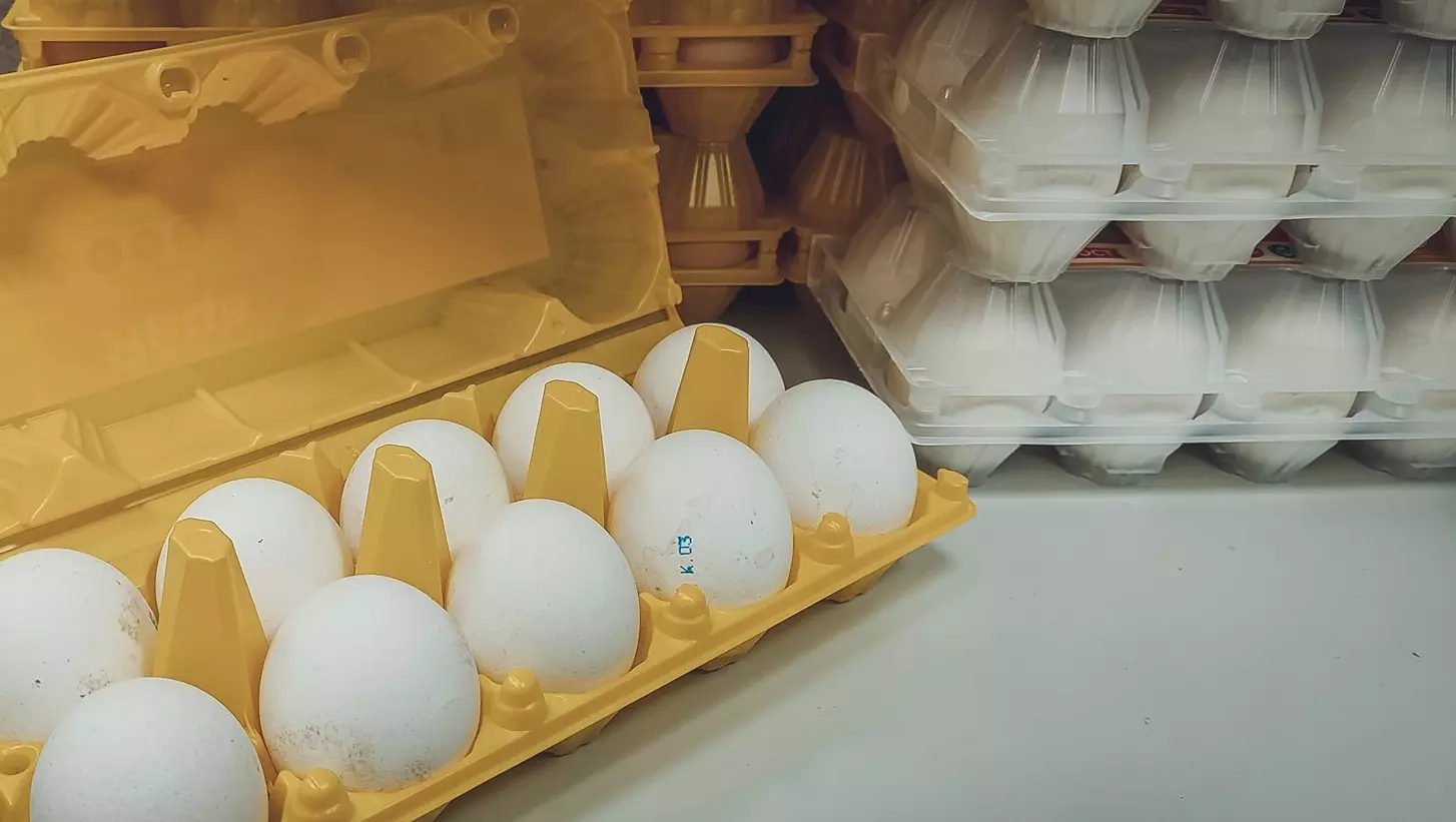 Одна из крупнейших птицефабрик края рассказала, почему яйца сильно подорожали