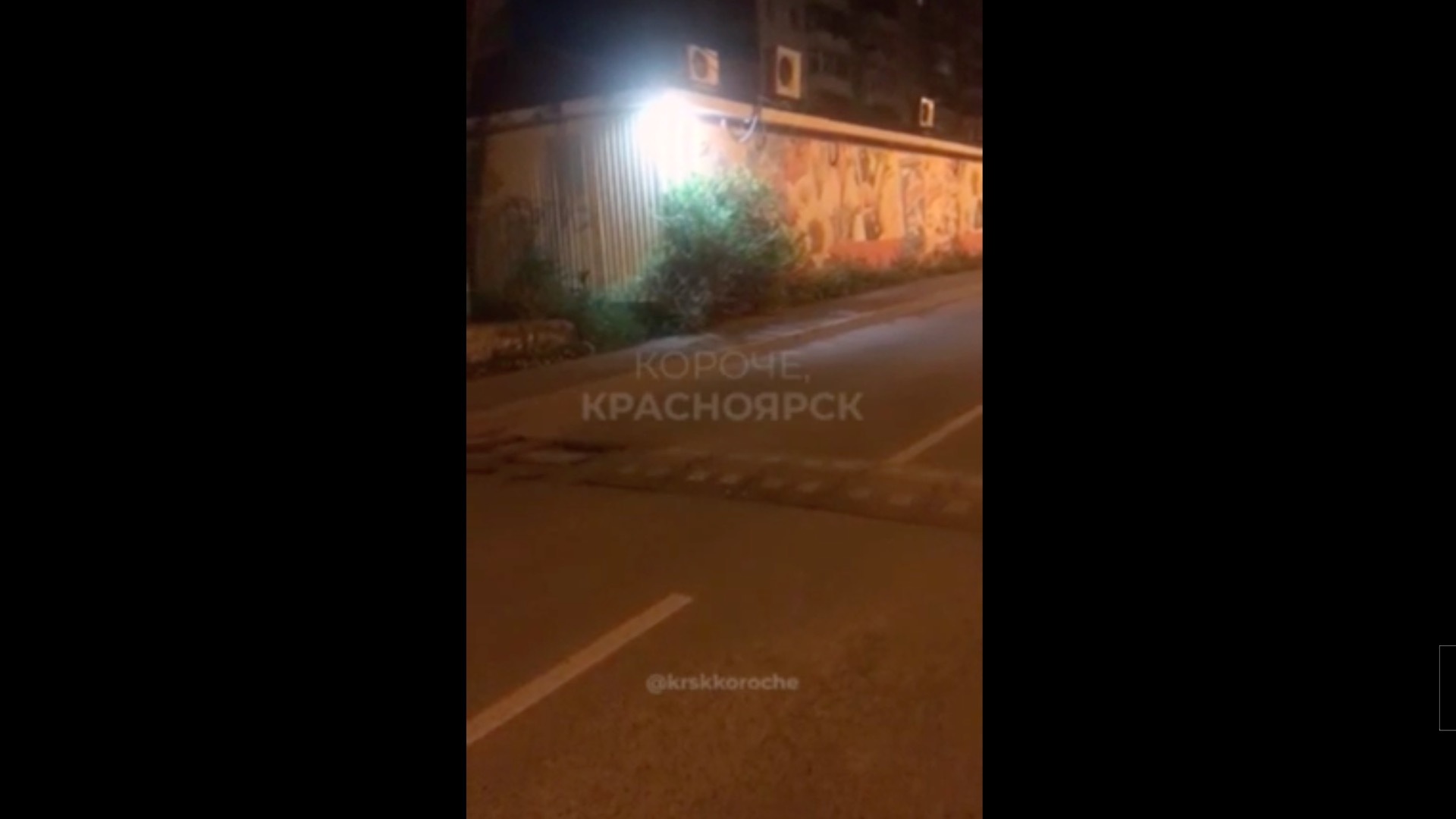 В Красноярске двое парней избили гаечным ключом мужчин из-за лая собаки