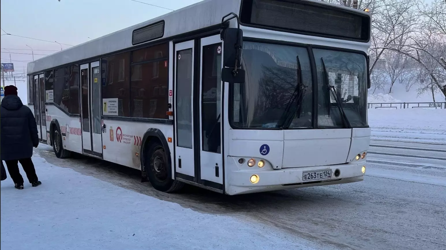 До острова Татышев в день открытия елки запустят бесплатные автобусы