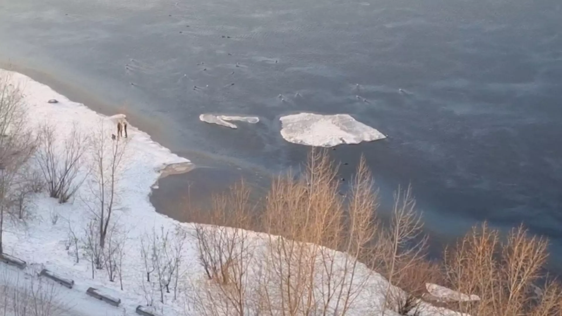 В Красноярске заметили масляное пятно на Енисее. Оно плывет уже несколько дней