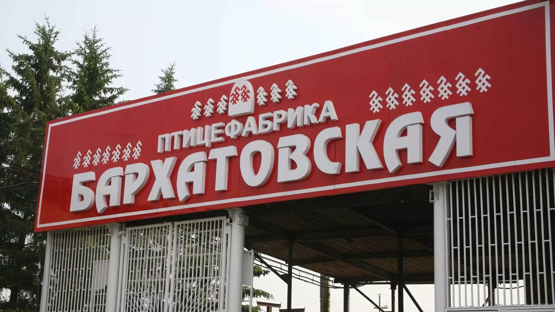 Торги по продаже Бархатовской птицефабрики не состоялись из-за отсутствия заявок