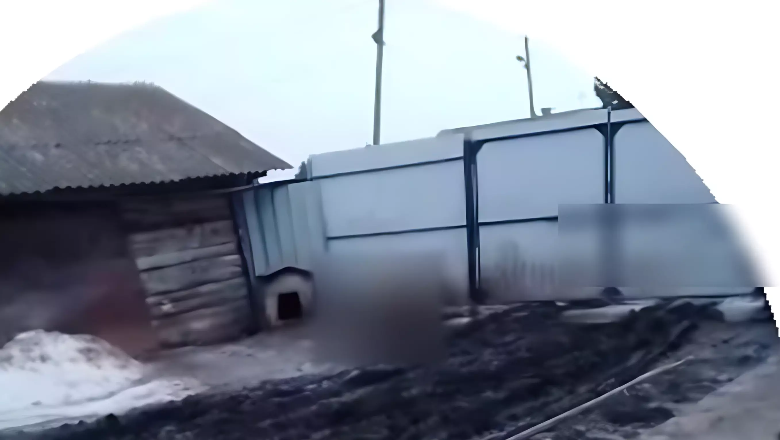 В Красноярском крае мужчина застрелил овчарку и отправил видео хозяйке