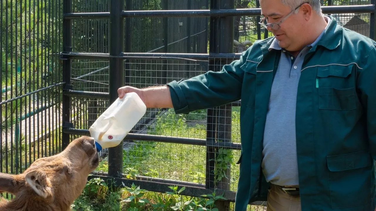 В Красноярске уволился директор зоопарка «Роев ручей» Андрей Горбань