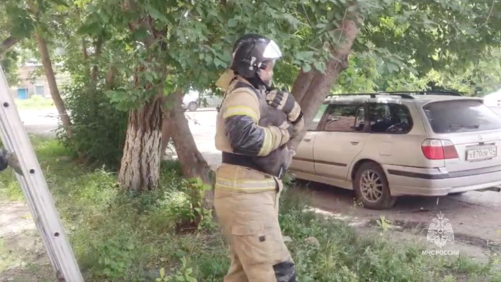 В Красноярском крае пожарные спасли кошку от голодной смерти