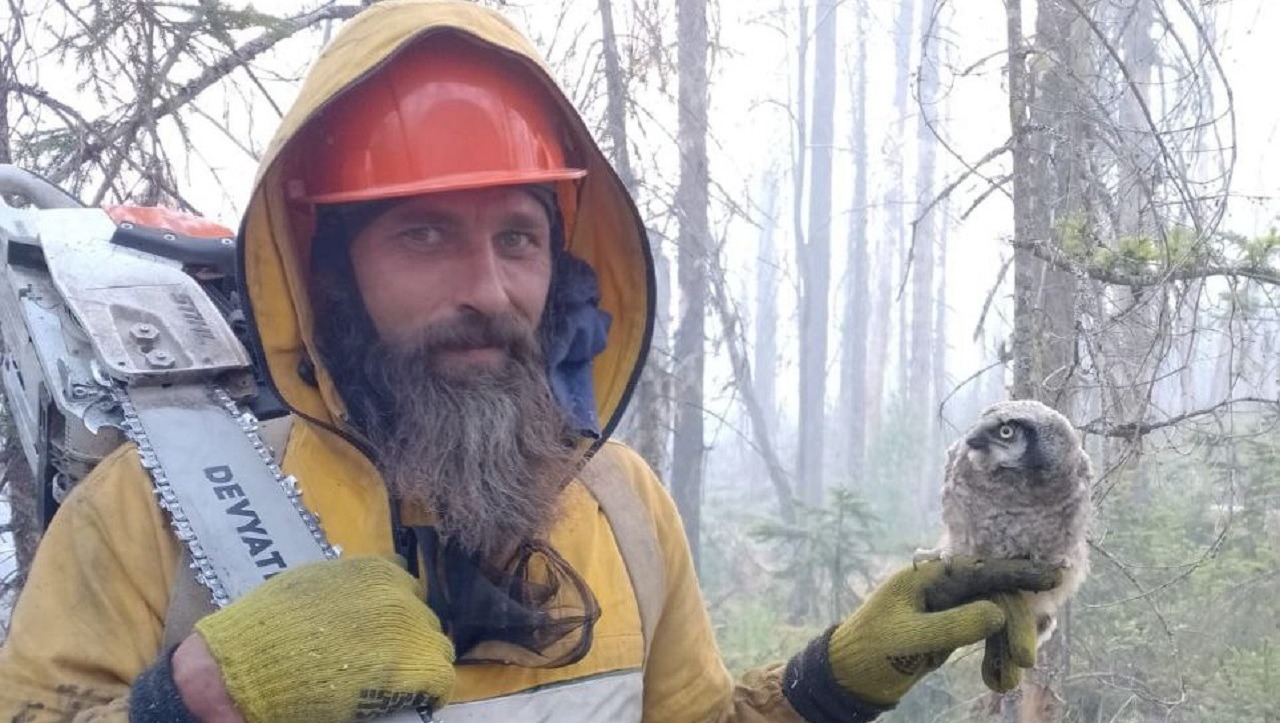 В Красноярском крае пожарные спасли совенка от огня в лесу