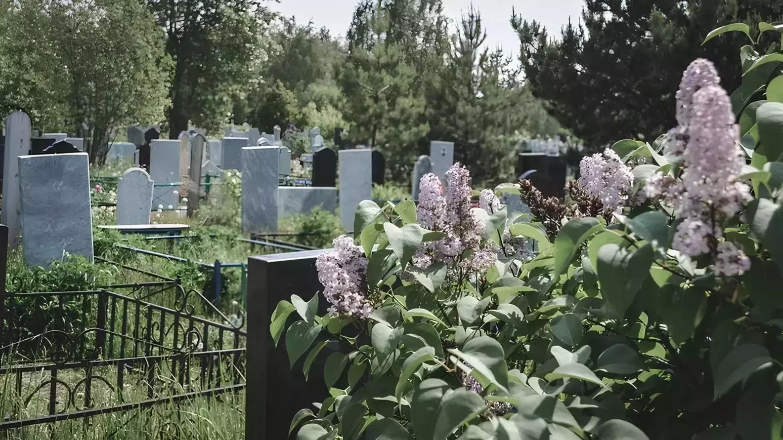 Инвестор снова не получил разрешение на строительство крематория в Красноярске